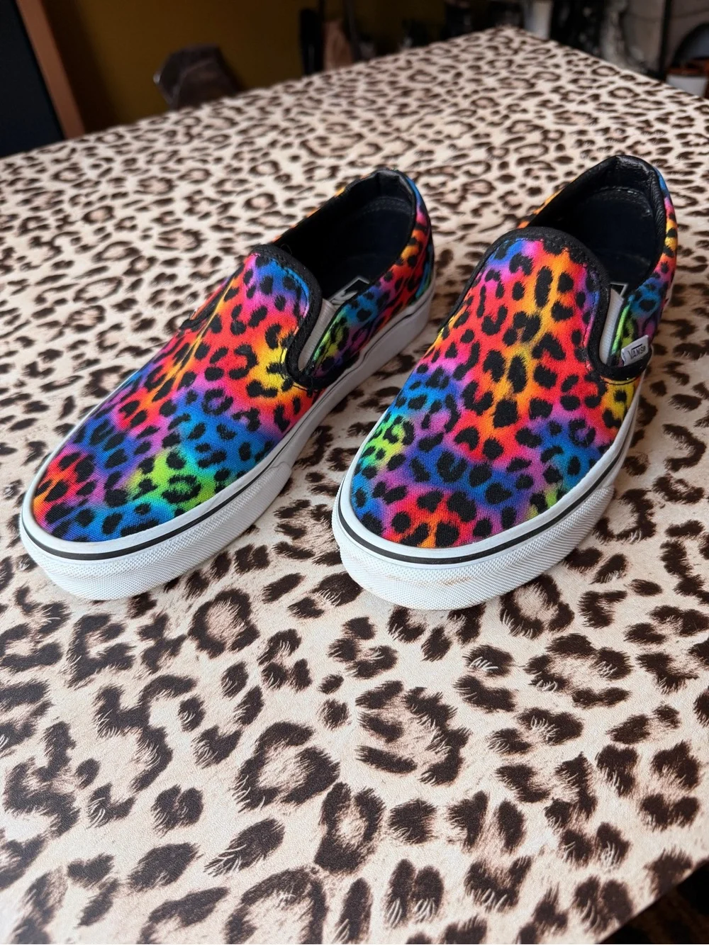 Vans Women’s Rainbow Leopard Slip-On Shoes